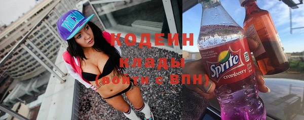 ПСИЛОЦИБИНОВЫЕ ГРИБЫ Вязники