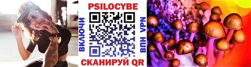 Галлюциногенные грибы мухоморы  наркотики  Вилючинск 
